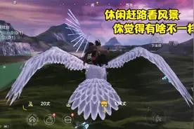 妄想山海：飞行坐骑详细介绍，有的适合赶路，某些就只适合观光视频封面