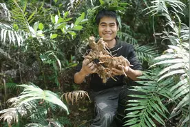 农民上山挖草药，钻出一条几十条腿的东西，吓我一跳