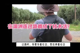 澳洲奇葩生活集锦视频封面