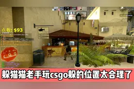 csgo躲猫猫 躲猫猫老手玩这游戏躲藏的位置太合理了视频封面