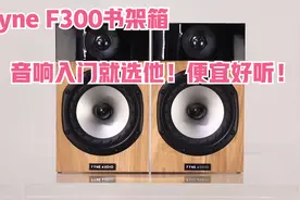 Fyne F-300书架箱-音响入门就选他！便宜好听!视频封面