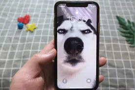 三张好玩的iPhone动态壁纸，苹果手机换上后个性十足！视频封面