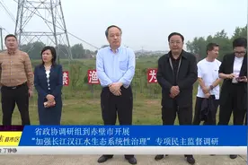 省政协调研组来赤壁市开展专项民主监督调研视频封面