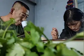 东北农村老爸，用两壶酱，一袋精盐，腌了一桶黄瓜，等着猫冬吃了视频封面