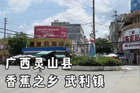 广西灵山县武利镇，这个镇很大哦，但比浦北县张黄镇小一些