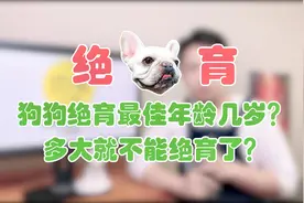 狗狗绝育的最佳年龄，以及多大就不能绝育。