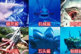 盘点六只电影中的奇葩鲨鱼，你觉得哪只厉害？海中猎手鲨鱼好可怕视频封面