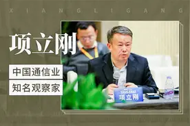 项立刚——中国通信业知名观察家视频封面