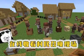 我的世界村民有15种职业？它们所对应的工作方块你都了解吗？视频封面