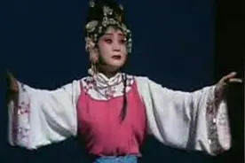 秦腔《狸猫换太子》全本 宁夏银川秦腔剧团演出视频封面