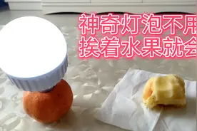 10元在地摊买的神奇灯泡不用电挨着水果就会亮小伙拆开发现玄机视频封面