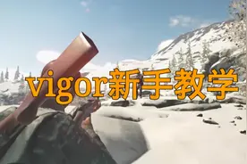 【switch】vigor新手教学第三期 萌新进图指南