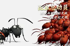 黑蚂蚁和红蚂蚁之间的战争 堪比世纪大战视频封面