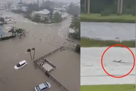 实拍飓风“伊恩”强袭美国：鲨鱼游上街道 整幢房子被洪水冲走视频封面