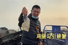 小斗用鸡腿钓螃蟹，十几秒一竿，15分钟抓了整整一桶！视频封面