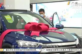 广东促进消费新政 购买新能源车可享政府补贴视频封面