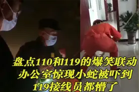 盘点110和119爆笑联动，办公室惊现小蛇被吓到，119接线员都懵了视频封面