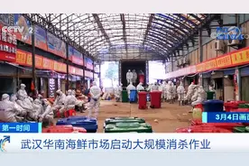 武汉华南海鲜市场启动大规模消杀作业 央视记者直击现场视频封面