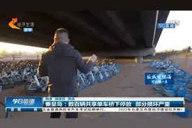 秦皇岛：大片共享电动车停放在大桥下，近百辆遭到破坏被遗弃视频封面