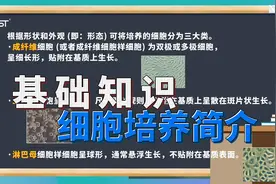 实验基础知识 | 细胞培养简介，都是细节视频封面