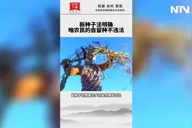 新种子法明确 咱农民的自留种不违法视频封面