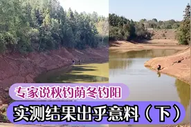 专家说秋钓荫 冬钓阳，到底是钓阴OR阳？实测结果出乎意料（下）