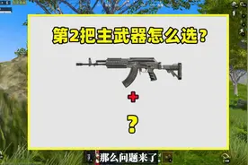 第1把主武器是步枪，第2把怎么选？这4个武器助你超神视频封面
