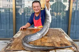 弟弟送来1条15斤大虎鳗，阿胖山铁锅炖大鳗，鳗汁拌饭实在香视频封面