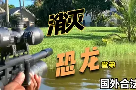 佛州小哥跟朋友一起周末划船猎蜥蜴，为邻居除害视频封面