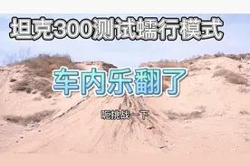 被玩乐翻了的坦克300蠕行模式视频封面