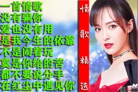 2022抖音热播情歌《唱一首情歌》我没有骗你,再爱也没有用,太动听视频封面