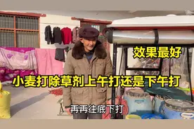 打除草剂的最佳时间，很多农民都做错了，农村大叔教你正确的方法视频封面