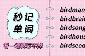 秒记5词：bird+brain，其实是骂人，千万别乱说！视频封面