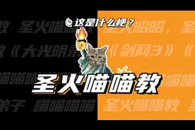 这是什么梗：圣火喵喵教？视频封面