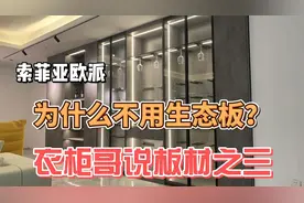 木工师傅装修做衣柜，用大品牌兔宝宝生态板怎么样，到底环保吗？