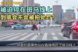右转弯时前车突然停车，后车被迫停在斑马线，到底会不会被拍处罚视频封面
