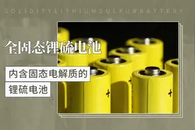 内含固态电解质的锂硫电池——全固态锂硫电池视频封面