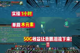 魔兽怀旧服:实操1小时单刷水元素，50金收益让你眼泪流下来