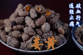 中药炮制  姜黄视频封面
