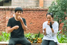 表妹来家里摘枇杷，枇杷又大又甜，可把表妹吃爽了视频封面