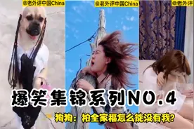 爆笑集锦系列，大鹅：除了铁锅，我无所畏惧~视频封面