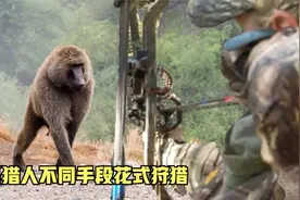 国外狒狒泛滥成灾，3位猎人使用不同手段狩猎，收获让人意外！视频封面