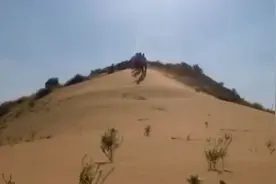 经典传奇：萨拉乌苏考古，意外挖到羚羊牙齿，竟夹着远古人类牙齿视频封面