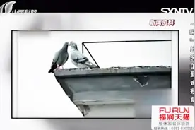 说出你的爱：二次供水屡现隐患，对于7层以上住户，专家给出建议视频封面