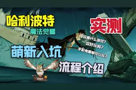 【猹某】哈利波特魔法觉醒入坑指南，我就是最强魔法师！视频封面