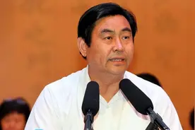 原周口“平坟市长”岳文海被查视频封面