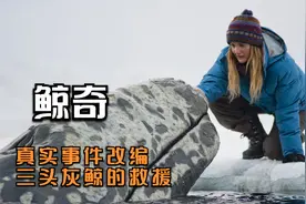 电影：三头灰鲸被困冰下，零下70度的超低温，破冰船都开不进去视频封面