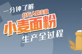 小麦的麦麸、胚芽和胚乳，哪种是生产小麦面粉的原料？答案是胚乳视频封面