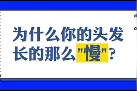 有没有想过 为什么你的头发长的那么慢？视频封面