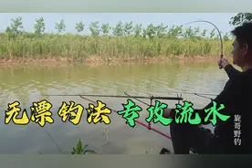 野钓遭遇强流水，试试无漂钓法，跑铅双铅在它面前，都弱爆了！视频封面